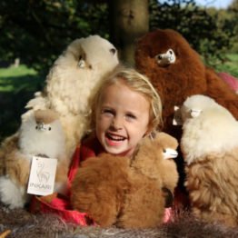 Knuffels