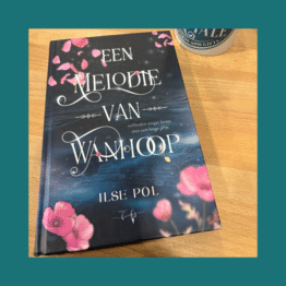 Een Melodie van Wanhoop Ilse Pol bij Fairytale books cards and gifts