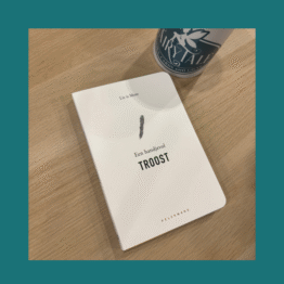 Een handjevol troost Liz is more bij Fairytale books cards and gifts