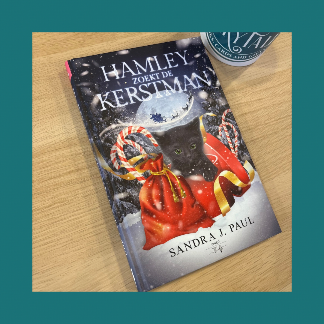 Hamley zoekt de kerstman Sandra J Paul bij Fairytale books cards and gifts Hamley zoekt de kerstman Sandra J Paul bij Fairytale books cards and gifts