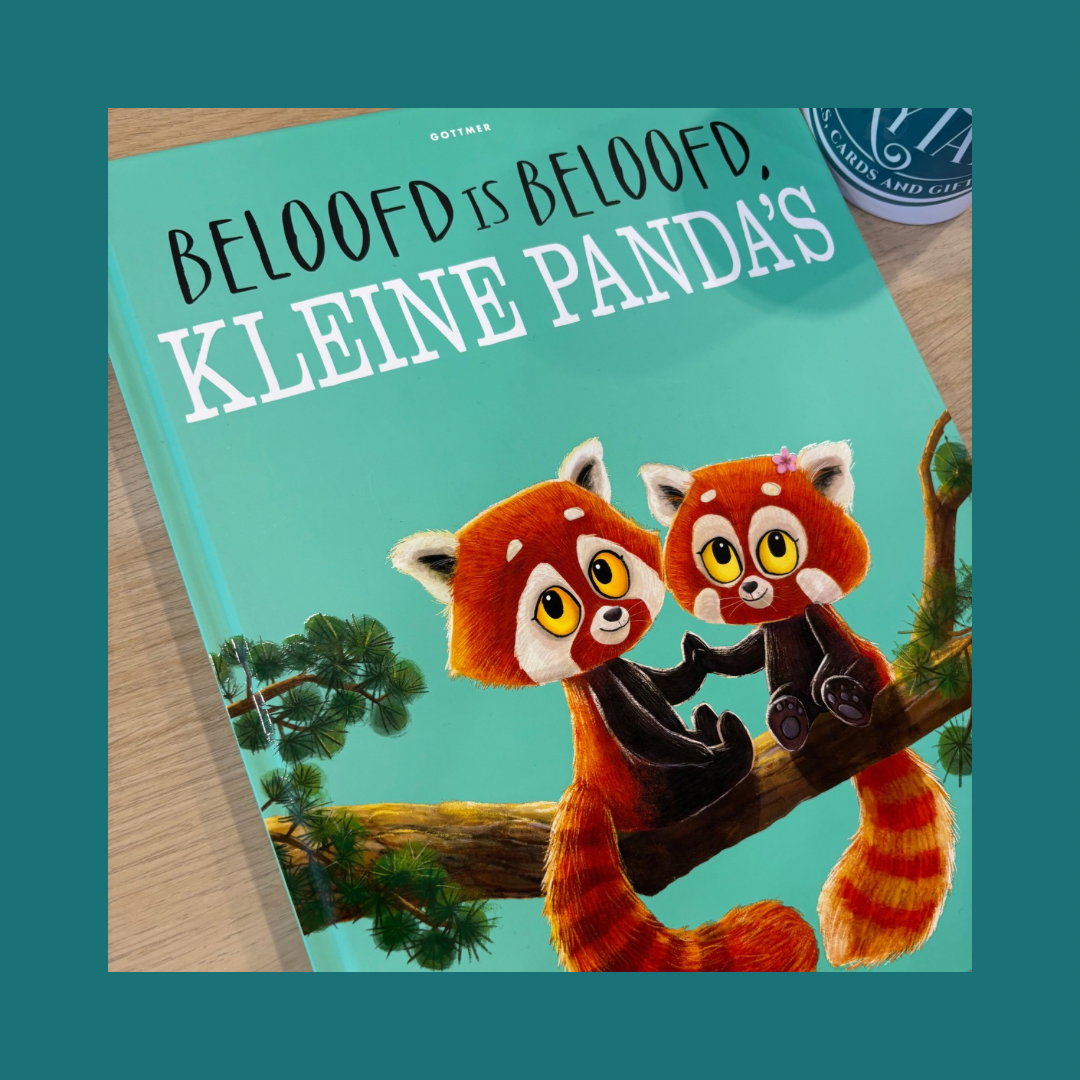 Beloofd is beloofd Kleine Panda's - Rachel Bright bij FairyTale books cards and gifts Beloofd is beloofd Kleine Panda's - Rachel Bright bij FairyTale books cards and gifts