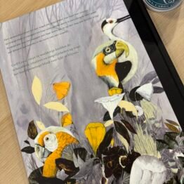 De Gouden Kooi Carll Cneut bij FairyTale books cards and gifts