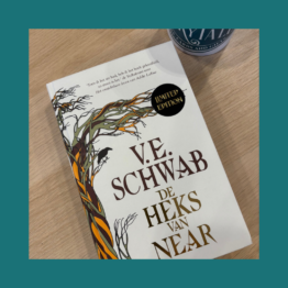 De Heks van Near V e Schwab bij FairyTale books cards and gifts
