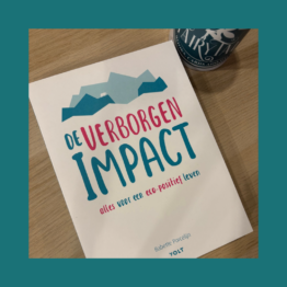 De Verborgen Impact Babette Porcelijn bij FairyTale books cards and gifts