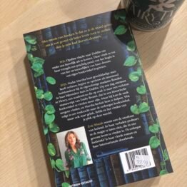 De Verborgen Boekwinkel - Evie Woods bij FairyTale books cards and gifts