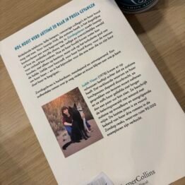 Zondagsleven Judith Visser FairyTale books cards and gift