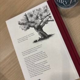 Dit Tiny Fisscher FairyTale books cards and gift