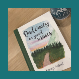 Onderweg en zoveel moois Rozemijn Aalpoel FairyTale books cards and gift