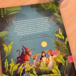 Woud Verhalen Elfen en Heksen - Tea Orsi bij FairyTale books cards and gifts