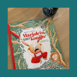 Marjolein stout Konijn - Brigitte Minne bij FairyTale Books Cards and Gifts
