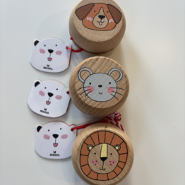 Houten JoJo Assorti bij FairyTale books cards and gifts