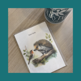 Veel Liefs - Mooz Kaarten bij FairyTale books cards and gifts