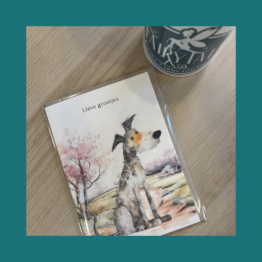 Lieve Groetjes - Mooz Kaarten bij FairyTale books cards and gifts