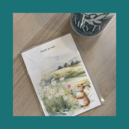 Dank je wel - Mooz Kaarten bij FairyTale books cards and gifts