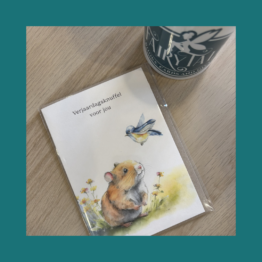 Verjaardagsknuffel voor jou - Mooz Kaarten bij FairyTale books cards and gifts