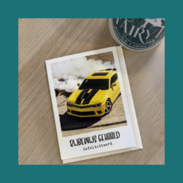 EcoCard Rijbewijs Gehaald Gefeliciteerd bij FairyTale books cards and gifts