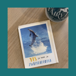 EcoCard Yes je hebt je zwemdiploma bij FairyTale books cards and gifts