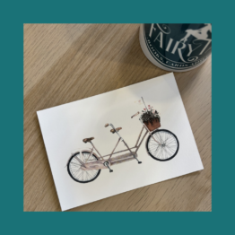 Tandem - LEO LA DOUCE bij FairyTale books cards and gifts