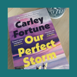 Our Perfect Storm - Carley Fortune Bij FairyTale books cards and gifts