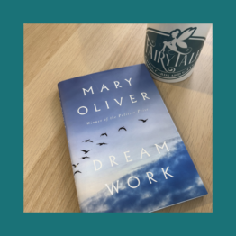 Dream Work - Mary Oliver bij FairyTale books cards and gifts