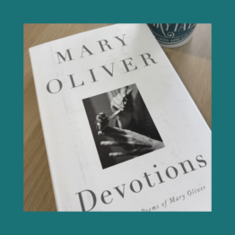Devotions - Mary Oliver bij FairyTale books cards and gifts