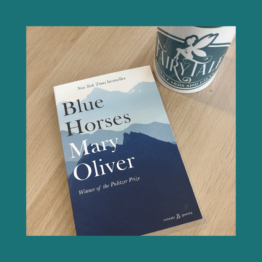 Blue Horses - Mary Oliver bij FairyTale books cards and gifts