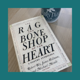 The Rag And The Bone Shop Of The Heart - Robert Bly bij FairyTale books cards and gifts