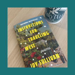Instructions For Traveling West - Joy Sullivan bij FairyTale books cards and gifts