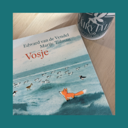Vosje - Marije Tolman bij FairyTale books cards and gifts