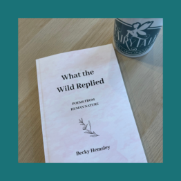 What the Wild Replied - Becky Hemsley bij FairyTale books cards and gifts